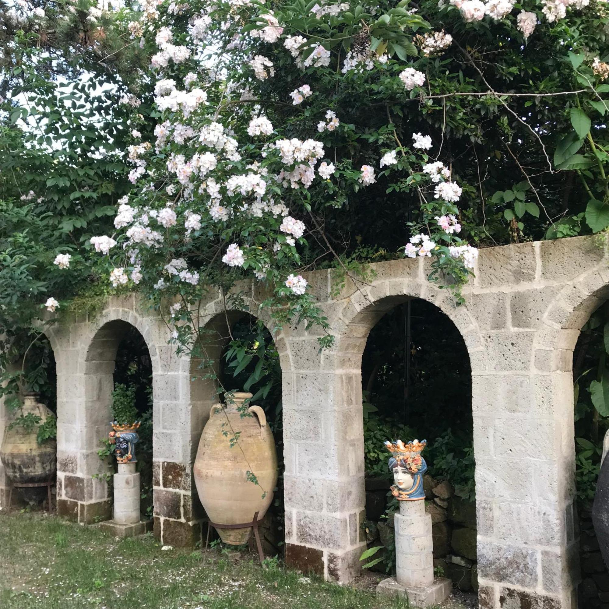 La Gallina Felice B&B Meta Exterior photo