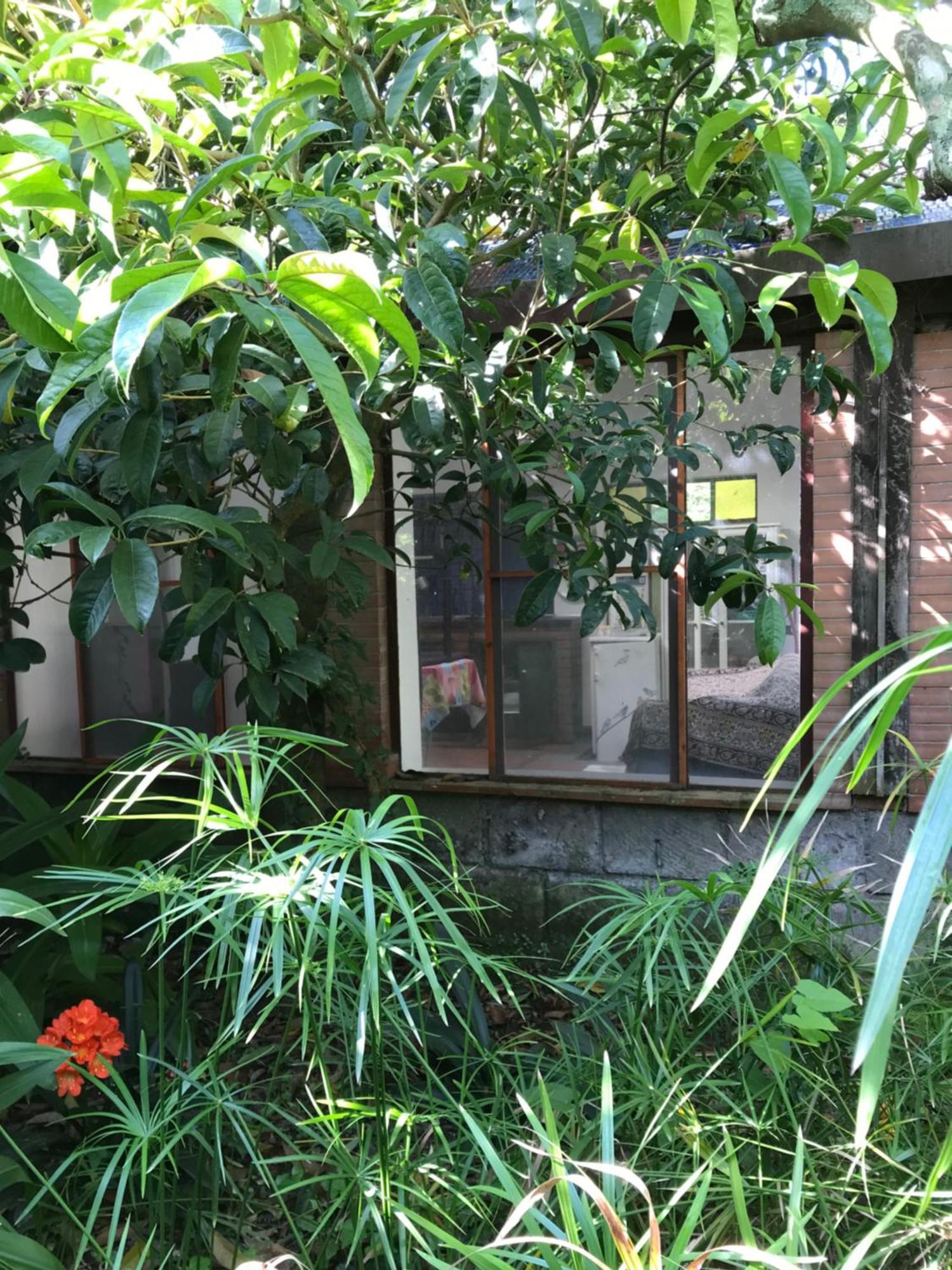 La Gallina Felice B&B Meta Exterior photo