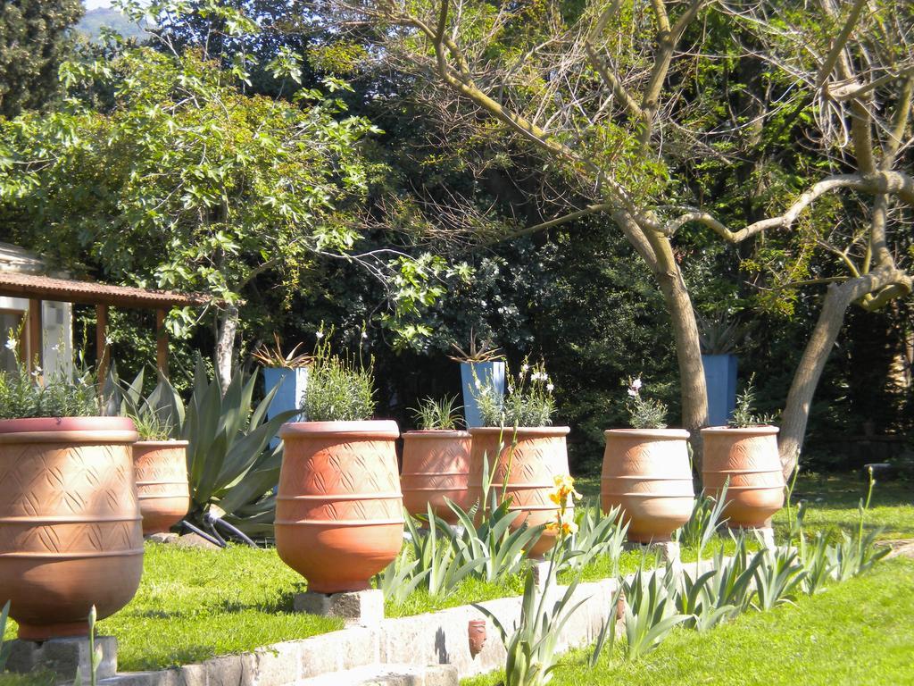 La Gallina Felice B&B Meta Exterior photo